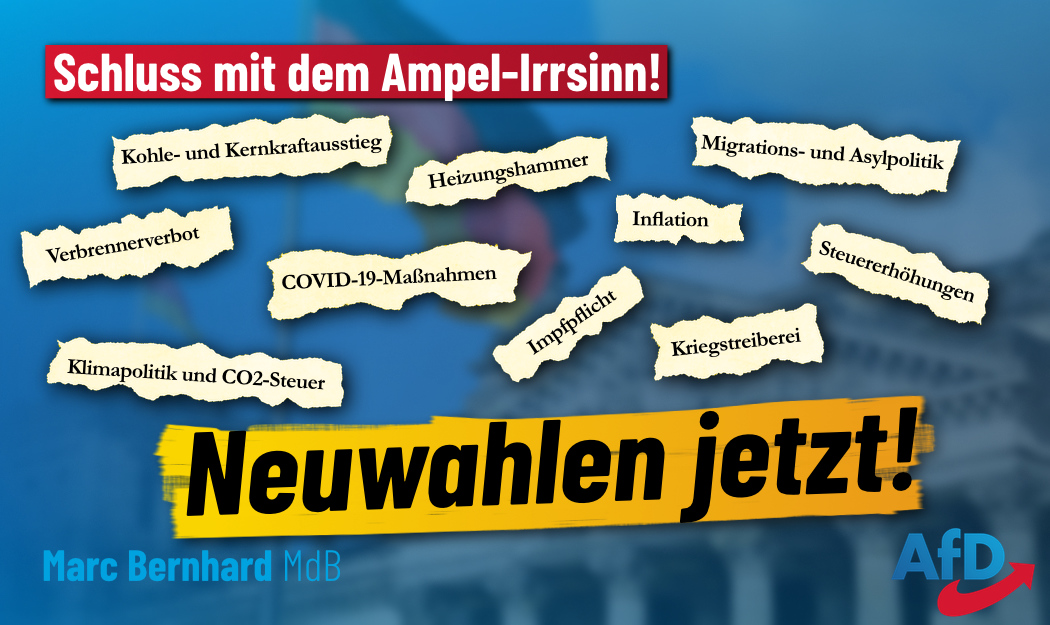 2024-08-09 Neuwahlen jetzt_2