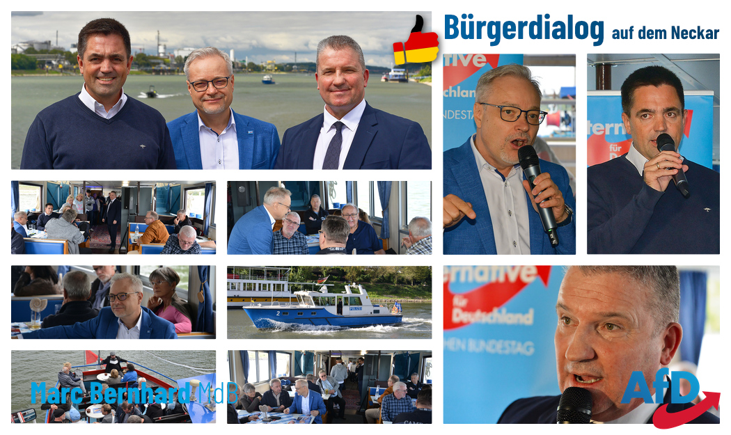 2024-09-16 Collage Schifffahrt Neckar_2